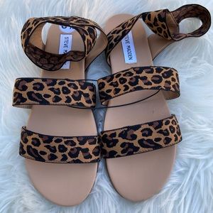 STEVE MADDEN | Cheetah Sandals